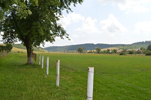 Felsőtelekes galéria