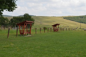 Felsőtelekes galéria