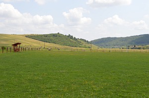 Felsőtelekes galéria