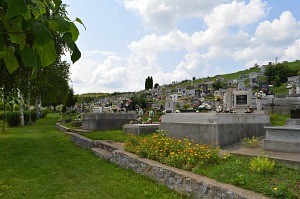 Felsőtelekes galéria