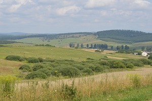 Felsőtelekes galéria